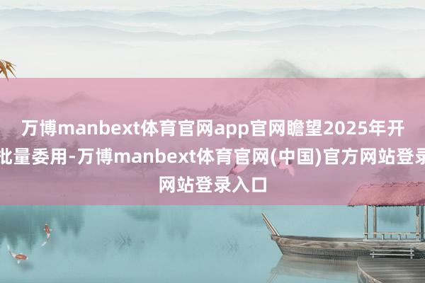 万博manbext体育官网app官网瞻望2025年开动小批量委用-万博manbext体育官网(中国)官方网站登录入口