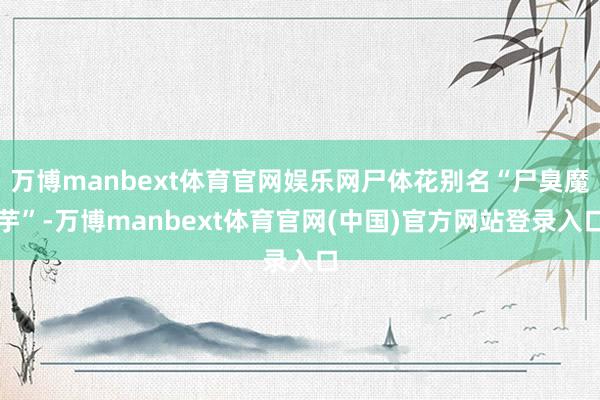 万博manbext体育官网娱乐网尸体花别名“尸臭魔芋”-万博manbext体育官网(中国)官方网站登录入口