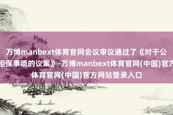 万博manbext体育官网会议审议通过了《对于公司提供借款、担保事项的议案》-万博manbext体育官网(中国)官方网站登录入口