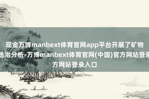 现金万博manbext体育官网app平台开展了矿物学和选冶分析-万博manbext体育官网(中国)官方网站登录入口