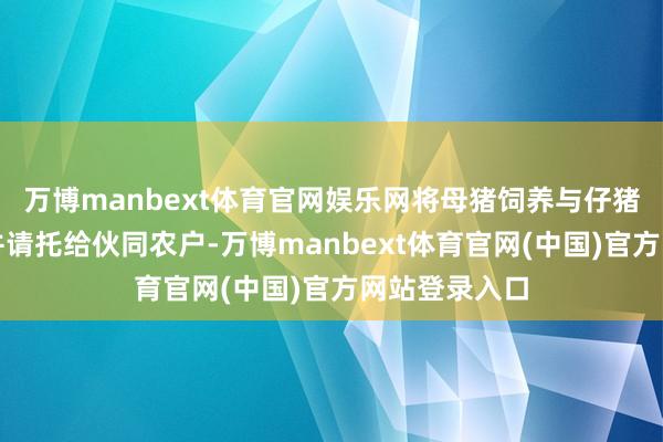 万博manbext体育官网娱乐网将母猪饲养与仔猪育肥顺次一并请托给伙同农户-万博manbext体育官网(中国)官方网站登录入口