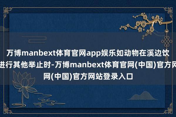 万博manbext体育官网app娱乐如动物在溪边饮水、沐浴或进行其他举止时-万博manbext体育官网(中国)官方网站登录入口